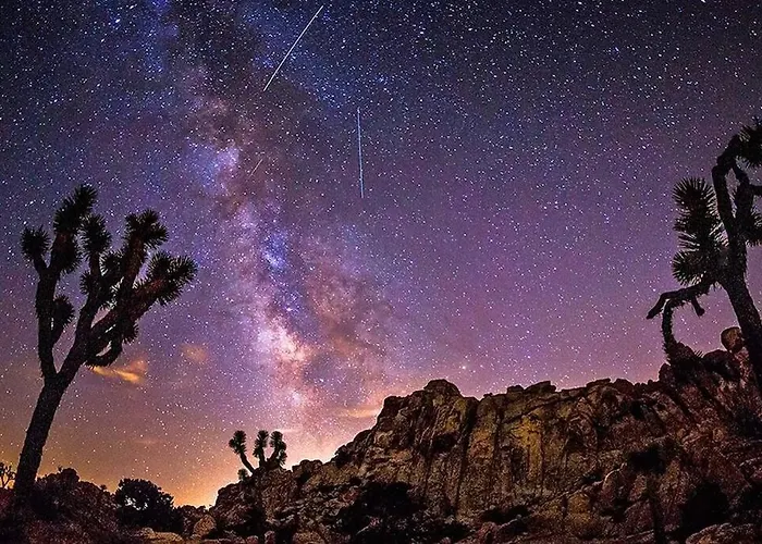 The Desert Nomad Retreat In Joshua Tree Village