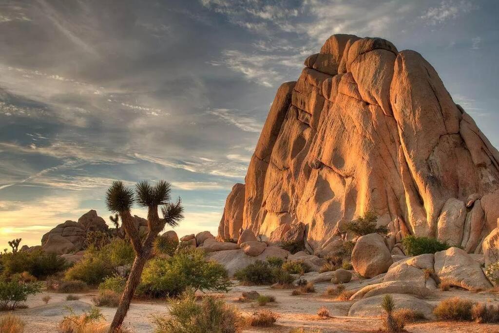 The Desert Nomad Retreat In Village * Joshua Tree
