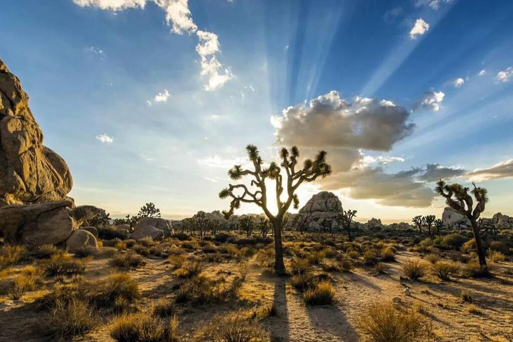 Holiday home The Desert Nomad Retreat In Village